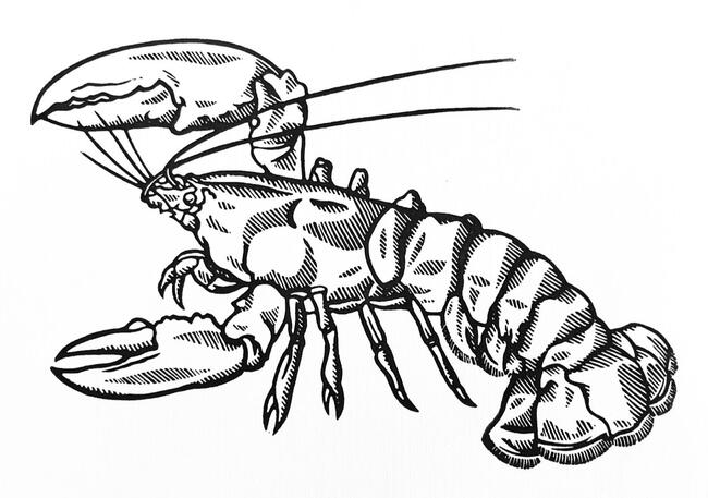 Lobster