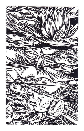 Frog and Lilypad