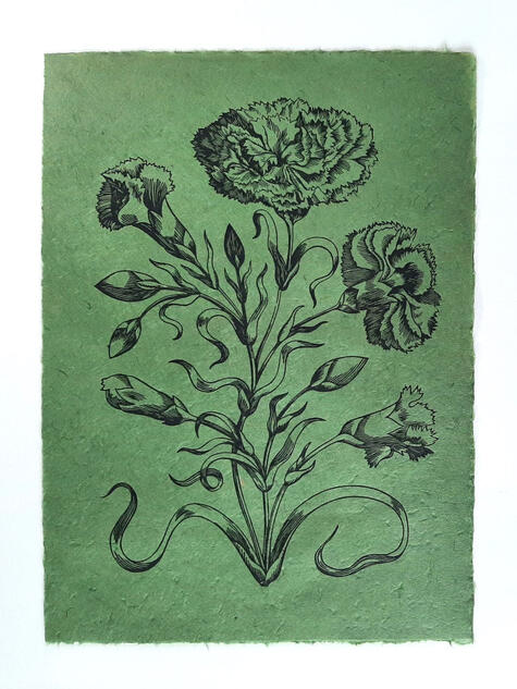 Maria Merian (study)